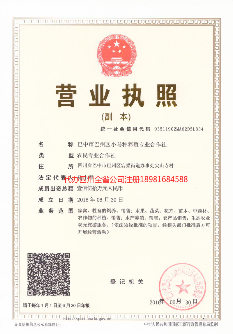 武胜武胜小马种养殖专业合作社